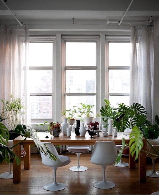 Decorate with Intention: Houseplants Helps De-stress and Adds Flair