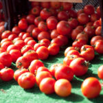 FarmersMarket