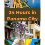 33ed1525-ffb3-4005-ae09-02185e58f925.png
